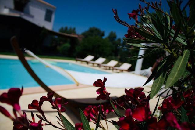 Villa Silvia Apartment Olmedo Dış mekan fotoğraf