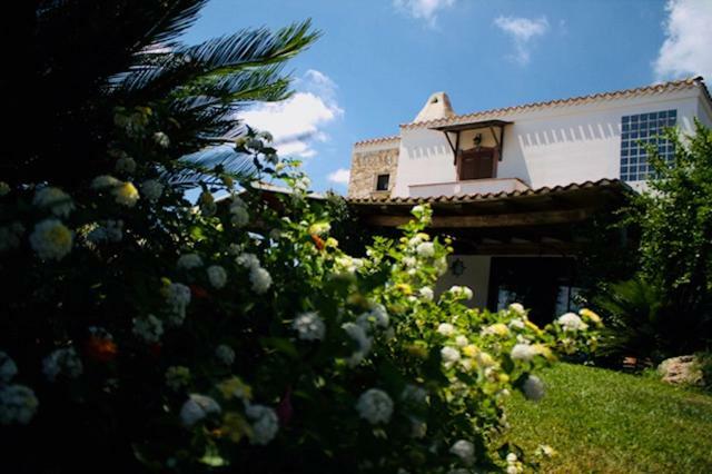 Villa Silvia Apartment Olmedo Dış mekan fotoğraf